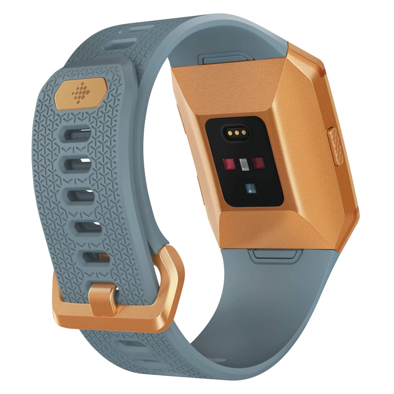 fitbit gps ionic